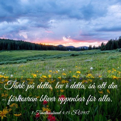 Picture 03 - 1 Timotheosbrevet 4:15 SV1917 - Tänk på detta, lev i detta, så att din - Bible Verse Picture