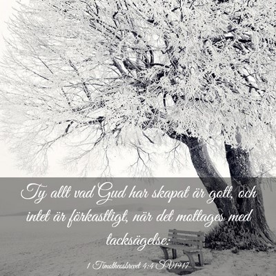 Picture 03 - 1 Timotheosbrevet 4:4 SV1917 - Ty allt vad Gud har skapat är gott, och intet - Bible Verse Picture