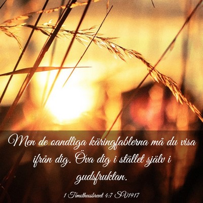Picture 03 - 1 Timotheosbrevet 4:7 SV1917 - Men de oandliga käringfablerna må du visa - Bible Verse Picture