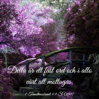 Picture 03 - 1 Timotheosbrevet 4:9 SV1917 - Detta är ett fast ord och i allo värt att - Bible Verse Picture