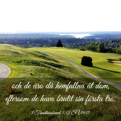 Picture 03 - 1 Timotheosbrevet 5:12 SV1917 - och de äro då hemfallna åt dom, eftersom de - Bible Verse Picture
