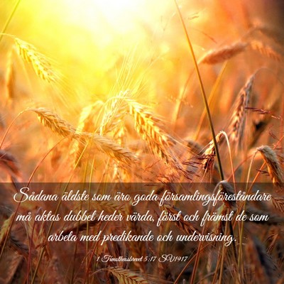 Picture 03 - 1 Timotheosbrevet 5:17 SV1917 - Sådana äldste som äro goda - Bible Verse Picture