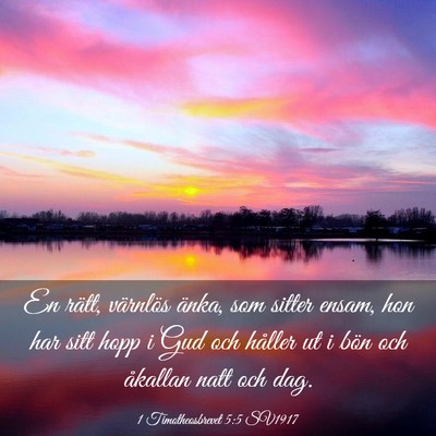 Picture 03 - 1 Timotheosbrevet 5:5 SV1917 - En rätt, värnlös änka, som sitter ensam, hon - Bible Verse Picture