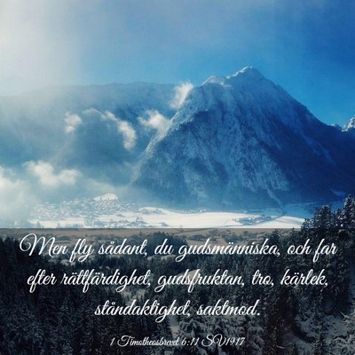 Picture 03 - 1 Timotheosbrevet 6:11 SV1917 - Men fly sådant, du gudsmänniska, och far efter - Bible Verse Picture