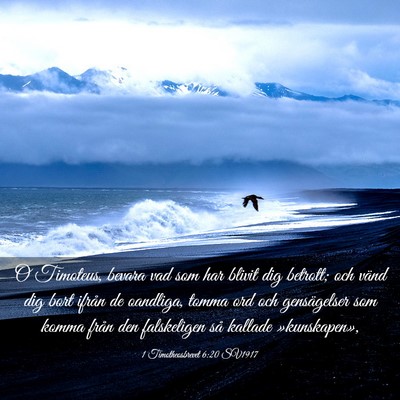Picture 03 - 1 Timotheosbrevet 6:20 SV1917 - O Timoteus, bevara vad som har blivit dig - Bible Verse Picture