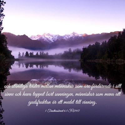 Picture 03 - 1 Timotheosbrevet 6:5 SV1917 - och ständiga tvister mellan människor som äro - Bible Verse Picture