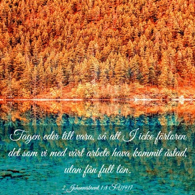 Picture 03 - 2 Johannesbrevet 1:8 SV1917 - Tagen eder till vara, så att I icke förloren - Bible Verse Picture