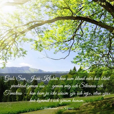 Picture 03 - 2 Korinthierbrevet 1:19 SV1917 - Guds Son, Jesus Kristus, han som bland eder har - Bible Verse Picture