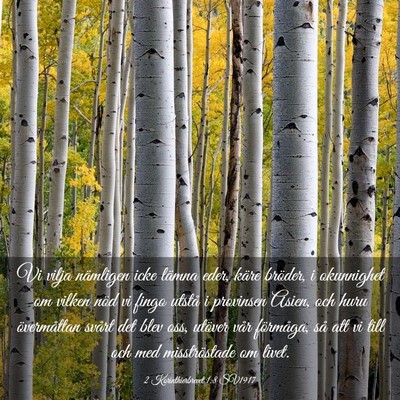 Picture 03 - 2 Korinthierbrevet 1:8 SV1917 - Vi vilja nämligen icke lämna eder, käre - Bible Verse Picture