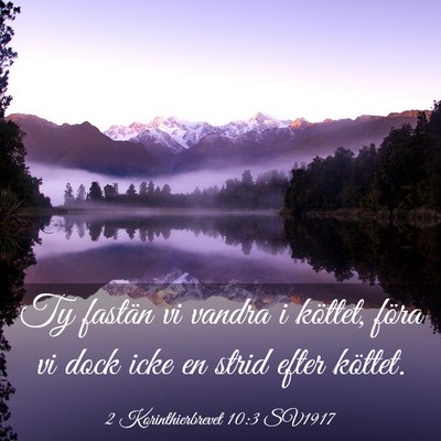 Picture 03 - 2 Korinthierbrevet 10:3 SV1917 - Ty fastän vi vandra i köttet, föra vi dock - Bible Verse Picture