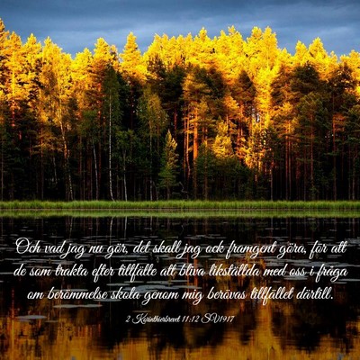 Picture 03 - 2 Korinthierbrevet 11:12 SV1917 - Och vad jag nu gör, det skall jag ock framgent - Bible Verse Picture