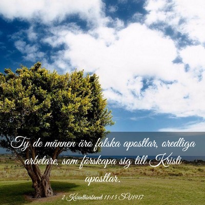 Picture 03 - 2 Korinthierbrevet 11:13 SV1917 - Ty de männen äro falska apostlar, oredliga - Bible Verse Picture