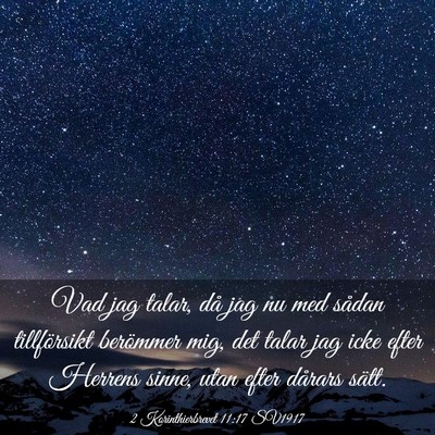 Picture 03 - 2 Korinthierbrevet 11:17 SV1917 - Vad jag talar, då jag nu med sådan tillförsikt - Bible Verse Picture