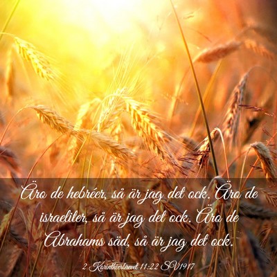 Picture 03 - 2 Korinthierbrevet 11:22 SV1917 - Äro de hebréer, så är jag det ock. Äro de - Bible Verse Picture