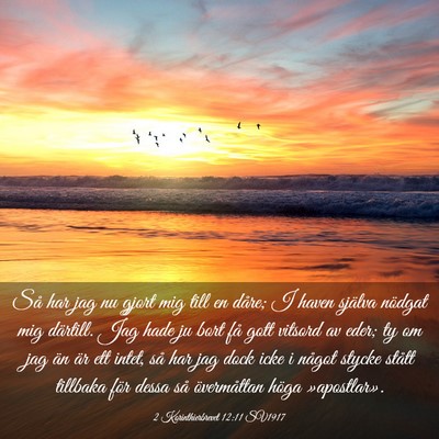 Picture 03 - 2 Korinthierbrevet 12:11 SV1917 - Så har jag nu gjort mig till en dåre; I haven - Bible Verse Picture