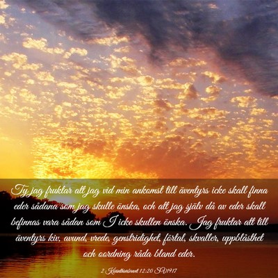 Picture 03 - 2 Korinthierbrevet 12:20 SV1917 - Ty jag fruktar att jag vid min ankomst till - Bible Verse Picture