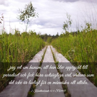 Picture 03 - 2 Korinthierbrevet 12:4 SV1917 - jag vet om honom, att han blev uppryckt till - Bible Verse Picture