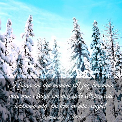 Picture 03 - 2 Korinthierbrevet 12:5 SV1917 - I fråga om den mannen vill jag berömma mig, men - Bible Verse Picture