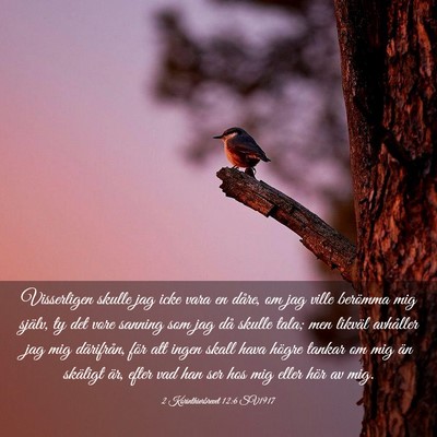 Picture 03 - 2 Korinthierbrevet 12:6 SV1917 - Visserligen skulle jag icke vara en dåre, om jag - Bible Verse Picture