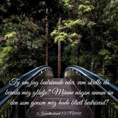 Picture 03 - 2 Korinthierbrevet 2:2 SV1917 - Ty om jag bedrövade eder, vem skulle då bereda - Bible Verse Picture