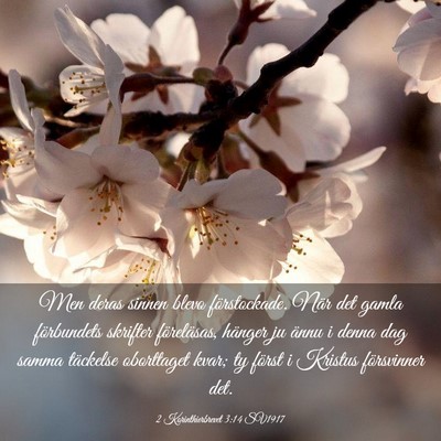 Picture 03 - 2 Korinthierbrevet 3:14 SV1917 - Men deras sinnen blevo förstockade. När det - Bible Verse Picture