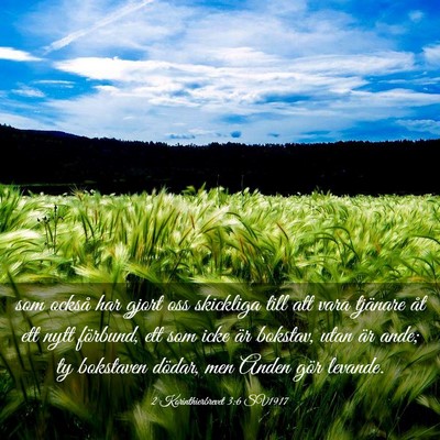 Picture 03 - 2 Korinthierbrevet 3:6 SV1917 - som också har gjort oss skickliga till att vara - Bible Verse Picture