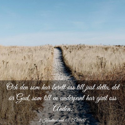 Picture 03 - 2 Korinthierbrevet 5:5 SV1917 - Och den som har berett oss till just detta, det - Bible Verse Picture