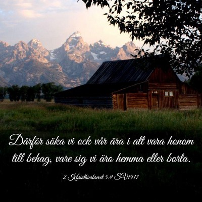 Picture 03 - 2 Korinthierbrevet 5:9 SV1917 - Därför söka vi ock vår ära i att vara honom - Bible Verse Picture