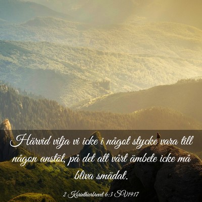 Picture 03 - 2 Korinthierbrevet 6:3 SV1917 - Härvid vilja vi icke i något stycke vara till - Bible Verse Picture