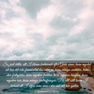 Picture 03 - 2 Korinthierbrevet 7:11 SV1917 - Se, just detta, att I bleven bedrövade efter - Bible Verse Picture