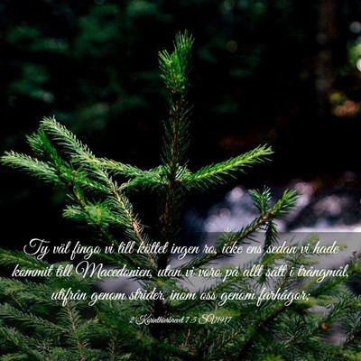 Picture 03 - 2 Korinthierbrevet 7:5 SV1917 - Ty väl fingo vi till köttet ingen ro, icke ens - Bible Verse Picture