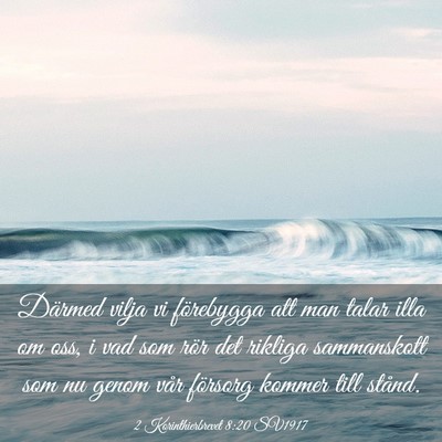 Picture 03 - 2 Korinthierbrevet 8:20 SV1917 - Därmed vilja vi förebygga att man talar illa om - Bible Verse Picture