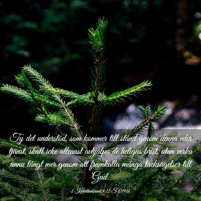Picture 03 - 2 Korinthierbrevet 9:12 SV1917 - Ty det understöd, som kommer till stånd genom - Bible Verse Picture
