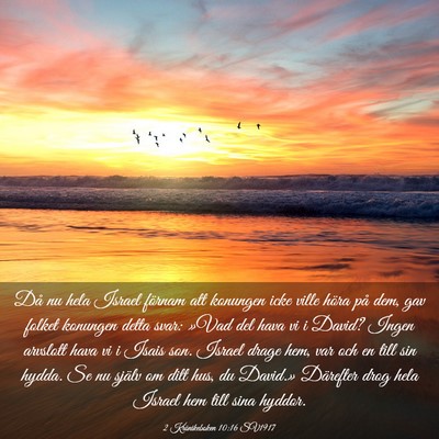 Picture 03 - 2 Krönikeboken 10:16 SV1917 - Då nu hela Israel förnam att konungen icke - Bible Verse Picture