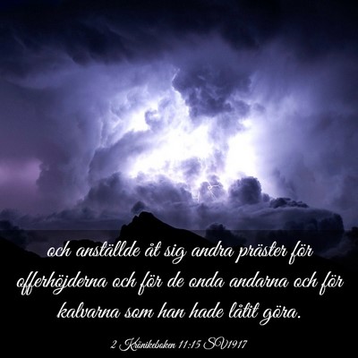 Picture 03 - 2 Krönikeboken 11:15 SV1917 - och anställde åt sig andra präster för - Bible Verse Picture