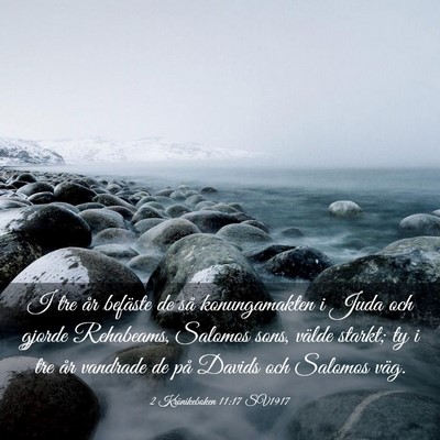 Picture 03 - 2 Krönikeboken 11:17 SV1917 - I tre år befäste de så konungamakten i Juda - Bible Verse Picture