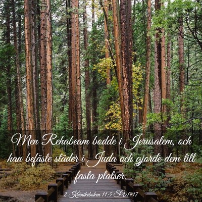 Picture 03 - 2 Krönikeboken 11:5 SV1917 - Men Rehabeam bodde i Jerusalem, och han befäste - Bible Verse Picture