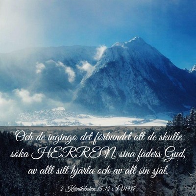Picture 03 - 2 Krönikeboken 15:12 SV1917 - Och de ingingo det förbundet att de skulle söka - Bible Verse Picture