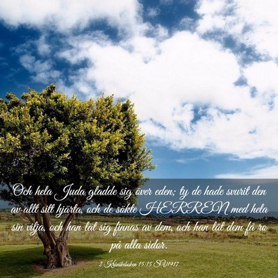 Picture 03 - 2 Krönikeboken 15:15 SV1917 - Och hela Juda gladde sig över eden; ty de hade - Bible Verse Picture