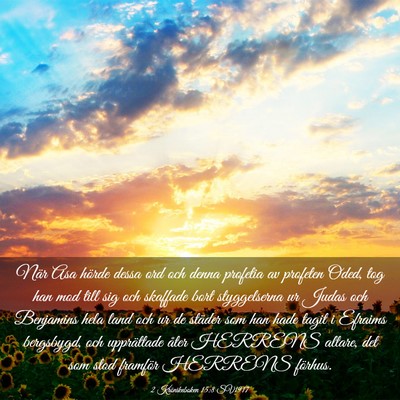 Picture 03 - 2 Krönikeboken 15:8 SV1917 - När Asa hörde dessa ord och denna profetia av - Bible Verse Picture