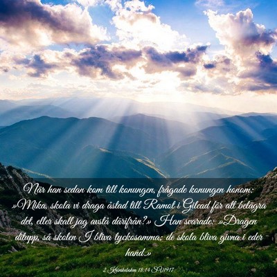 Picture 03 - 2 Krönikeboken 18:14 SV1917 - När han sedan kom till konungen, frågade - Bible Verse Picture
