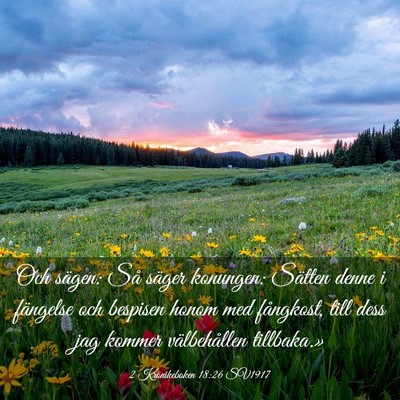 Picture 03 - 2 Krönikeboken 18:26 SV1917 - Och sägen: Så säger konungen: Sätten denne i - Bible Verse Picture