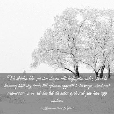 Picture 03 - 2 Krönikeboken 18:34 SV1917 - Och striden blev på den dagen allt häftigare, - Bible Verse Picture