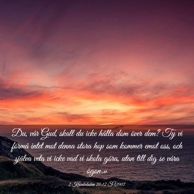 Picture 03 - 2 Krönikeboken 20:12 SV1917 - Du, vår Gud, skall du icke hålla dom över dem? - Bible Verse Picture