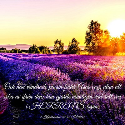 Picture 03 - 2 Krönikeboken 20:32 SV1917 - Och han vandrade på sin fader Asas väg, utan - Bible Verse Picture