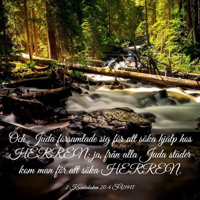 Picture 03 - 2 Krönikeboken 20:4 SV1917 - Och Juda församlade sig för att söka hjälp - Bible Verse Picture
