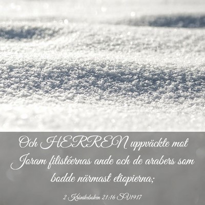 Picture 03 - 2 Krönikeboken 21:16 SV1917 - Och HERREN uppväckte mot Joram filistéernas - Bible Verse Picture