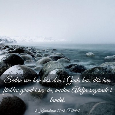 Picture 03 - 2 Krönikeboken 22:12 SV1917 - Sedan var han hos dem i Guds hus, där han - Bible Verse Picture