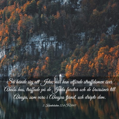 Picture 03 - 2 Krönikeboken 22:8 SV1917 - Så hände sig att Jehu, när han utförde - Bible Verse Picture