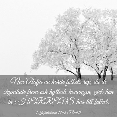 Picture 03 - 2 Krönikeboken 23:12 SV1917 - När Atalja nu hörde folkets rop, då de - Bible Verse Picture